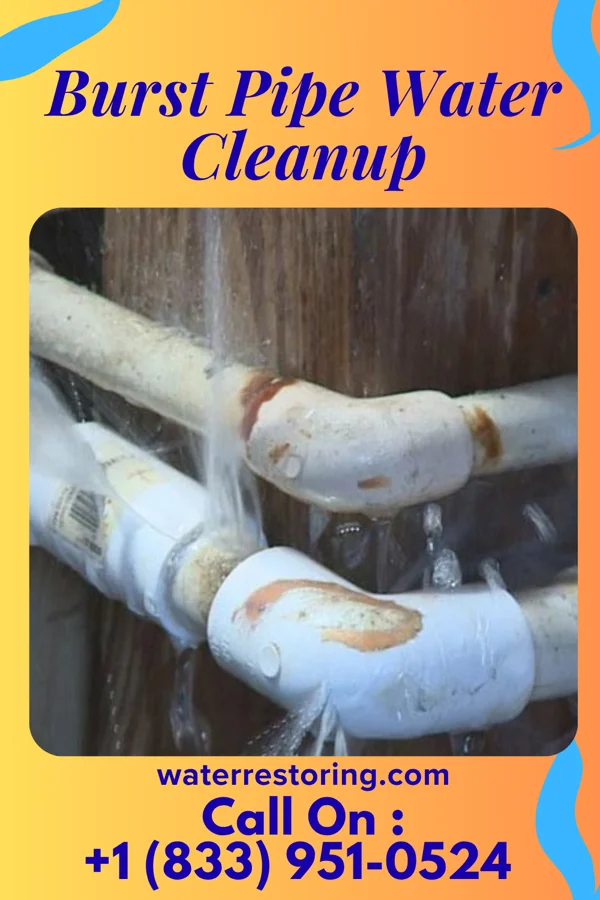 Burst Pipe Water Cleanup in Poinciana, FL